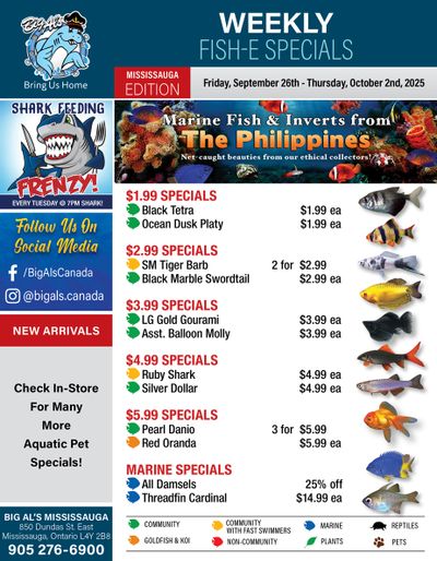 Big Al's (Mississauga) Weekly Specials September 26 to October 2