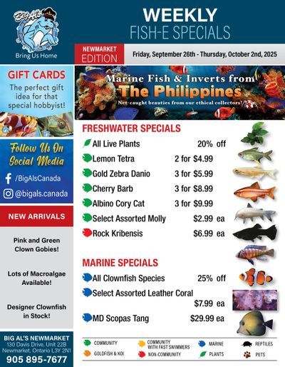 Big Al's (Newmarket) Weekly Specials September 26 to October 2
