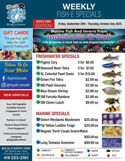 Big Al's (North York) Weekly Specials September 26 to October 2