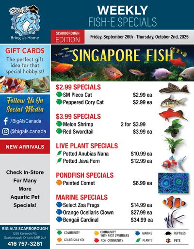 Big Al's (Scarborough) Weekly Specials September 26 to October 2