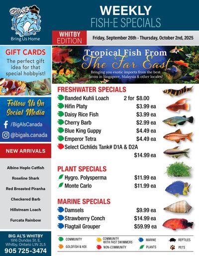 Big Al's (Whitby) Weekly Specials September 26 to October 2
