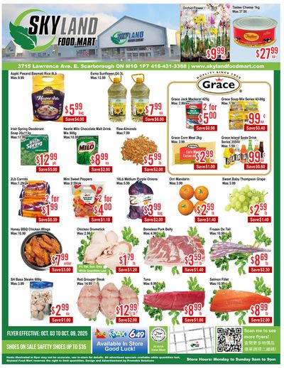 Skyland Food Mart Flyer October 3 to 9