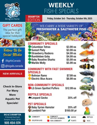Big Al's (Brampton) Weekly Specials October 3 to 9