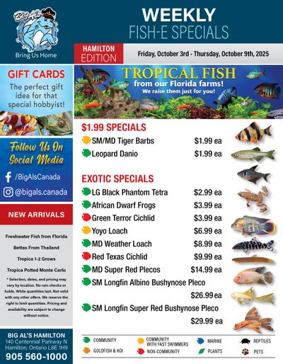 Big Al's (Hamilton) Weekly Specials October 3 to 9