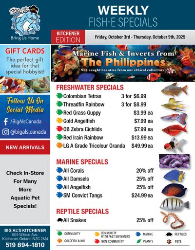 Big Al's (Kitchener) Weekly Specials October 3 to 9