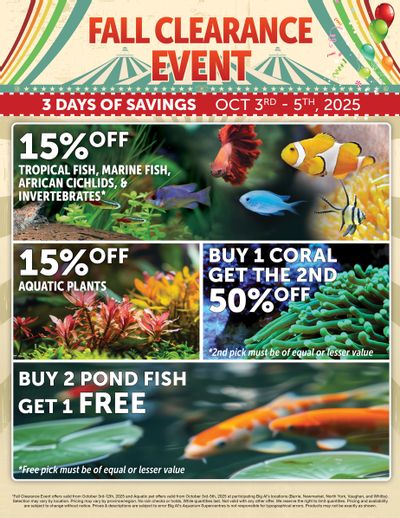 Big Al's (Newmarket) Weekly Specials October 3 to 5