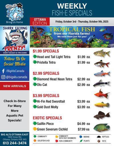 Big Al's (Ottawa) Weekly Specials October 3 to 9
