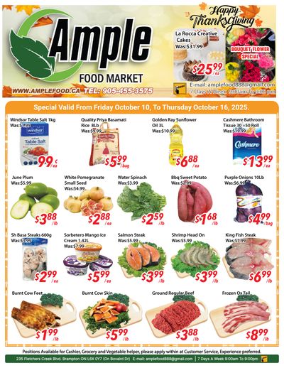 Ample Food Market (Brampton) Flyer October 10 to 16