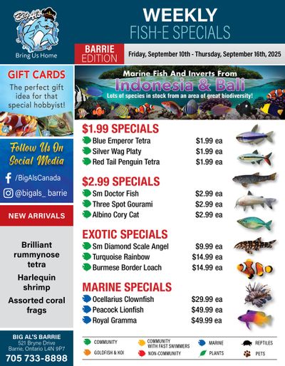 Big Al's (Barrie) Weekly Specials October 10 to 16