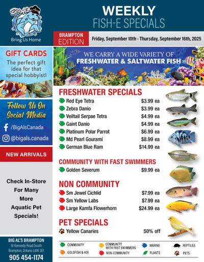 Big Al's (Brampton) Weekly Specials October 10 to 16