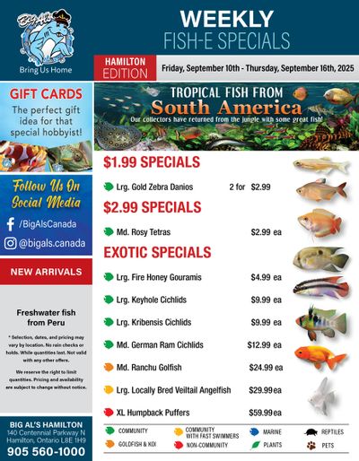 Big Al's (Hamilton) Weekly Specials October 10 to 16