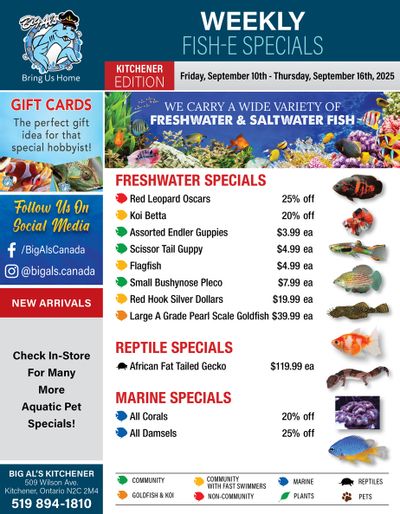 Big Al's (Kitchener) Weekly Specials October 10 to 16