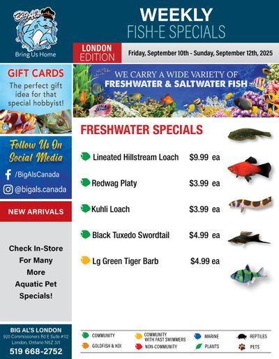 Big Al's (London) Weekend Specials October 10 to 12