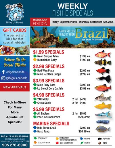 Big Al's (Mississauga) Weekly Specials October 10 to 16