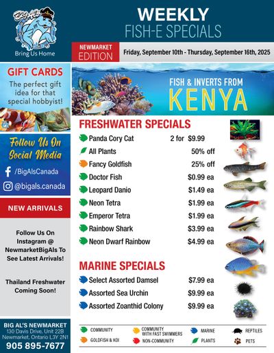 Big Al's (Newmarket) Weekly Specials October 10 to 16