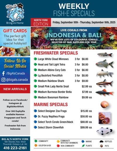 Big Al's (North York) Weekly Specials October 10 to 16