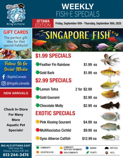 Big Al's (Ottawa) Weekly Specials October 10 to 16