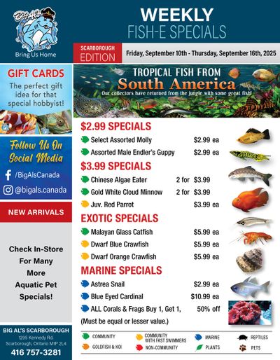 Big Al's (Scarborough) Weekly Specials October 10 to 16