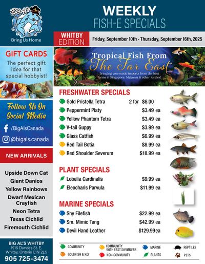 Big Al's (Whitby) Weekly Specials October 10 to 16