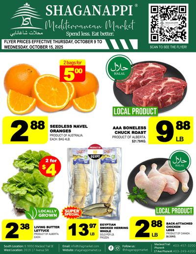 Shaganappi Mediterranean Market Flyer October 9 to 15