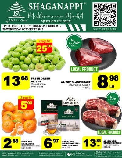 Shaganappi Mediterranean Market Flyer October 16 to 22