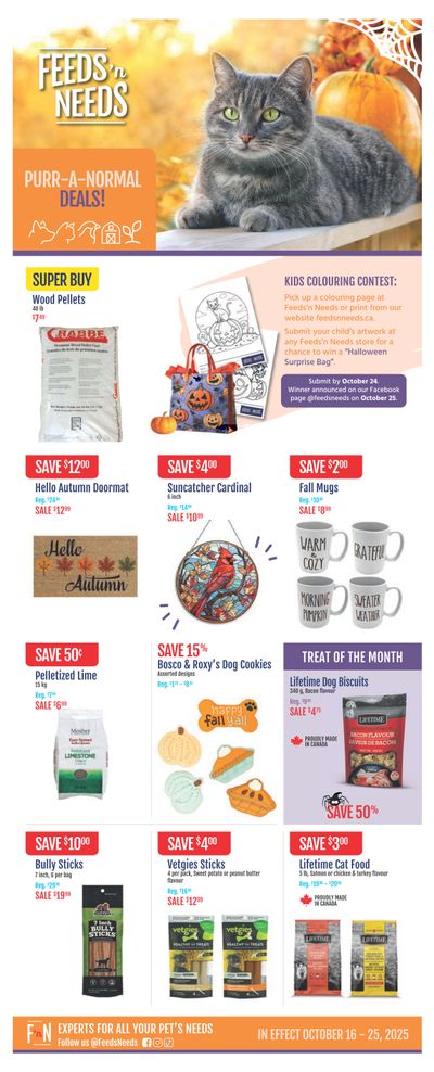 ShurGain Feeds'n Needs Flyer October 16 to 22