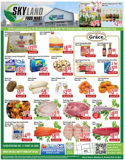 Skyland Food Mart Flyer October 17 to 23