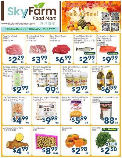SkyFarm Food Mart Flyer October 17 to 23