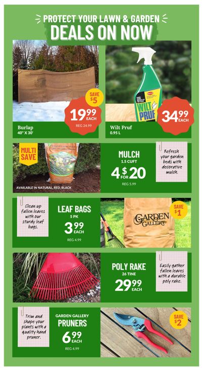 Lakeside Garden Gallery Flyer October 17 to 23