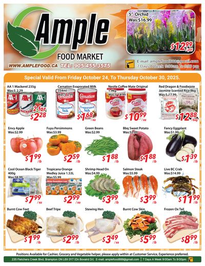 Ample Food Market (Brampton) Flyer October 24 to 30