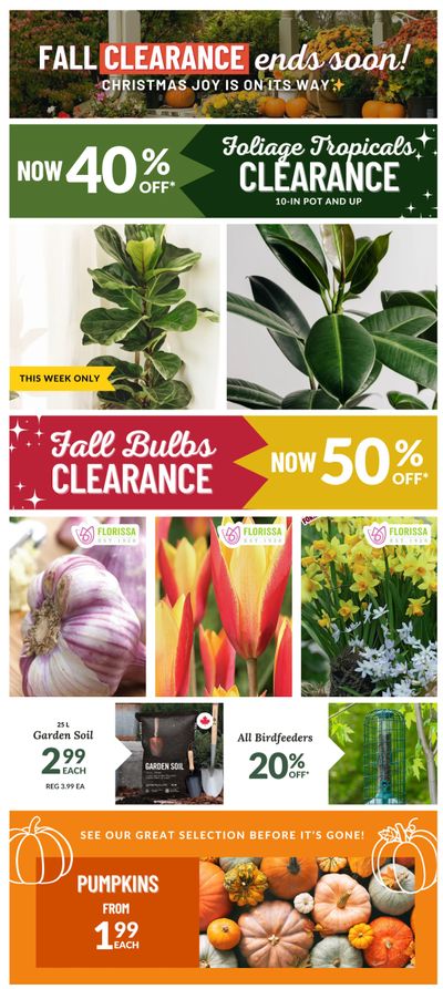 Lakeside Garden Gallery Flyer October 24 to 30