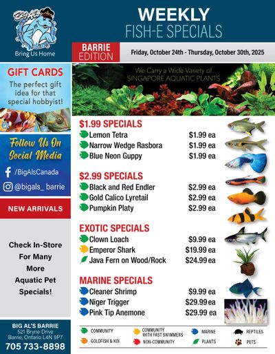 Big Al's (Barrie) Weekly Specials October 24 to 30