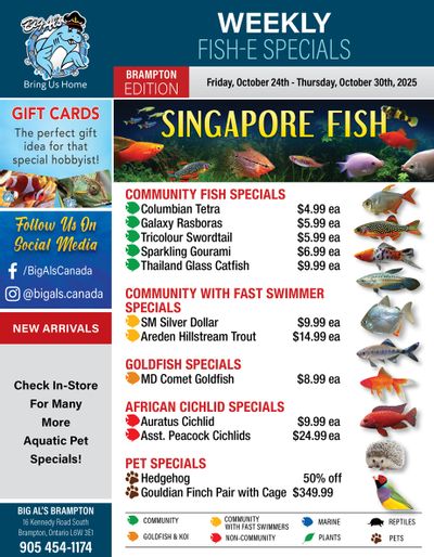 Big Al's (Brampton) Weekly Specials October 24 to 30