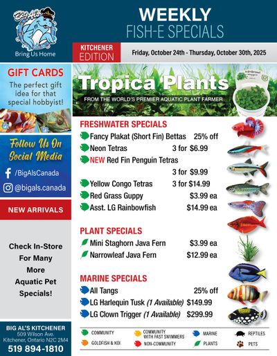 Big Al's (Kitchener) Weekly Specials October 24 to 30