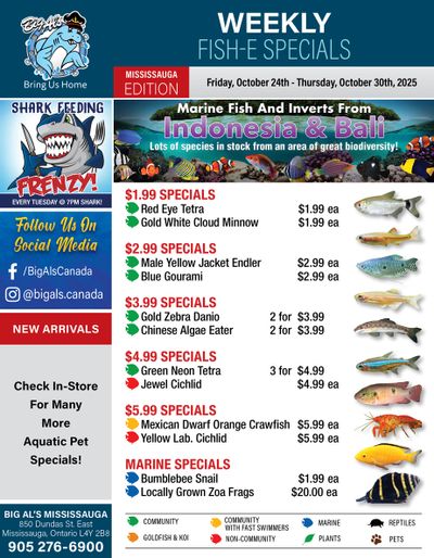 Big Al's (Mississauga) Weekly Specials October 24 to 30