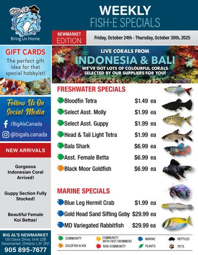 Big Al's (Newmarket) Weekly Specials October 24 to 30