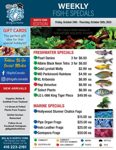 Big Al's (North York) Weekly Specials October 24 to 30