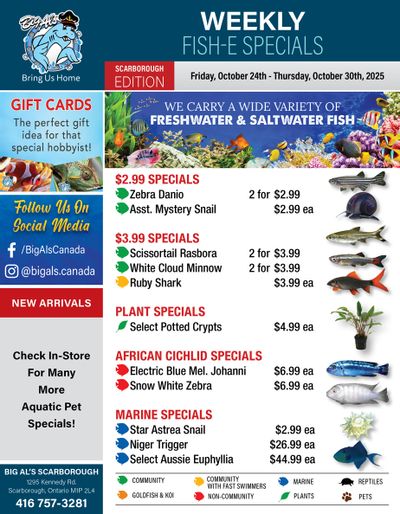Big Al's (Scarborough) Weekly Specials October 24 to 30