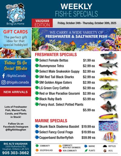 Big Al's (Vaughan) Weekly Specials October 24 to 30