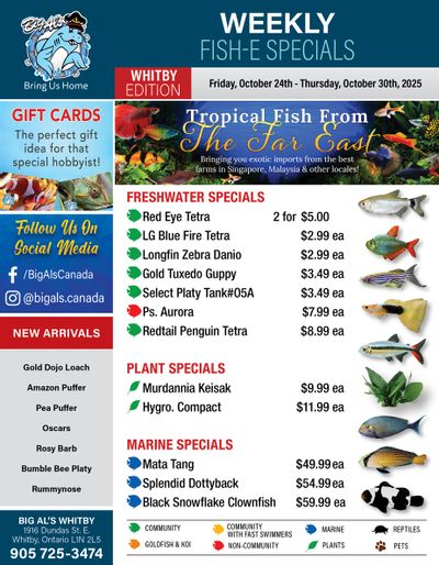 Big Al's (Whitby) Weekly Specials October 24 to 30