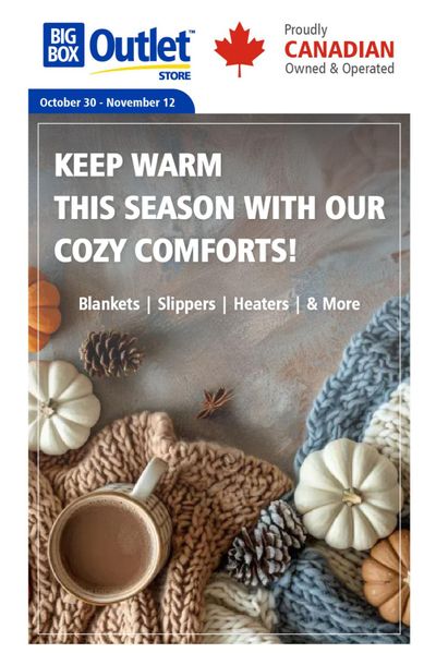 Big Box Outlet Store Flyer October 30 to November 12
