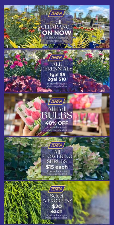 Terra Greenhouses Flyer October 17 to November 6