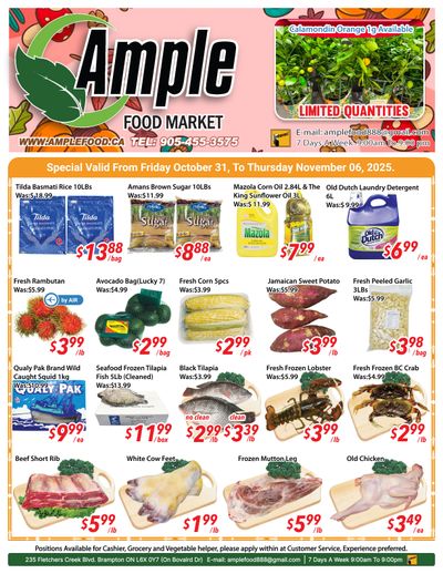 Ample Food Market (Brampton) Flyer October 31 to November 6