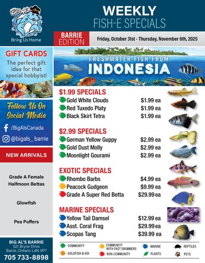 Big Al's (Barrie) Weekly Specials October 31 to November 6