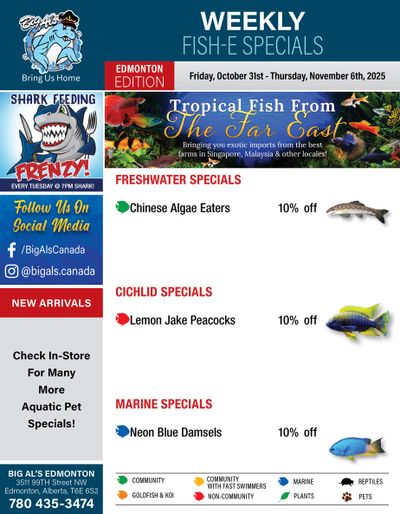 Big Al's (Edmonton) Weekly Specials October 31 to November 6