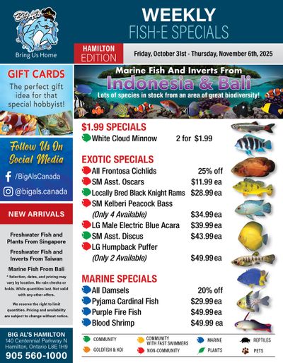 Big Al's (Hamilton) Weekly Specials October 31 to November 6