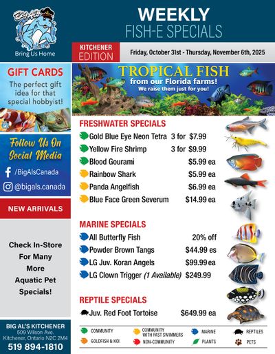 Big Al's (Kitchener) Weekly Specials October 31 to November 6