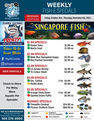 Big Al's (Mississauga) Weekly Specials October 31 to November 6