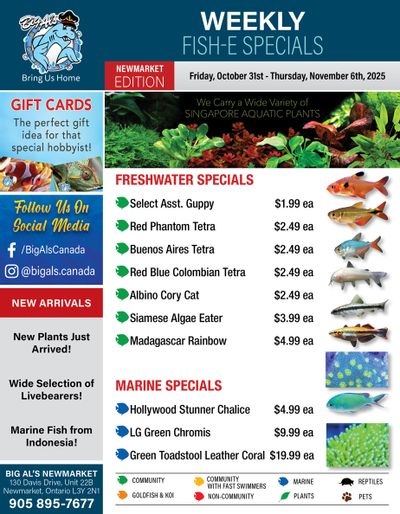 Big Al's (Newmarket) Weekly Specials October 31 to November 6