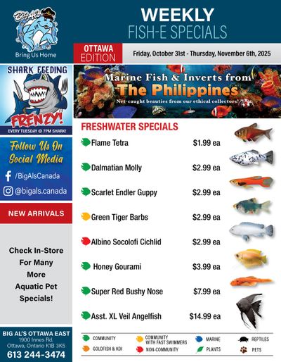 Big Al's (Ottawa) Weekly Specials October 31 to November 6